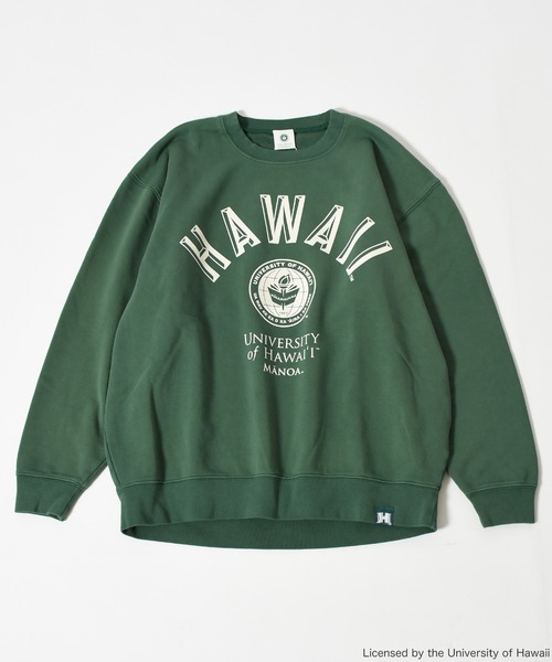 Johnbull Private labo(ジョンブルプライベートラボ)の「【+81BRANCA】カレッジスウェット / HAWAII(スウェット・レディース・グリーン・MEDIUM/X-LARGE)」の7枚目の写真