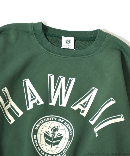 Johnbull Private labo(ジョンブルプライベートラボ)の「【+81BRANCA】カレッジスウェット / HAWAII(スウェット・レディース・グリーン・MEDIUM/X-LARGE)」の8枚目の写真
