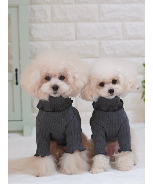 poteco】【再入荷】【新色追加】フリルリブプルオーバー/犬服(ドッグ