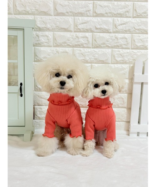poteco】【再入荷】【新色追加】フリルリブプルオーバー/犬服(ドッグ