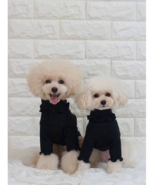 poteco】【再入荷】【新色追加】フリルリブプルオーバー/犬服(ドッグ