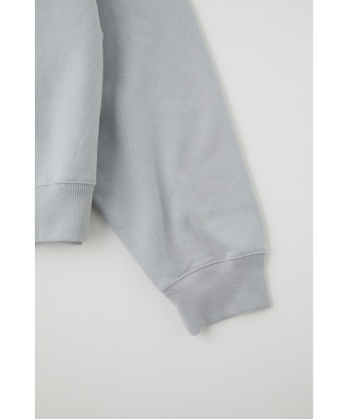 MOUSSY（マウジー）の「MOUSSY RETRO PACKAGE プルオーバー（スウェット・レディース・グリーン/オフホワイト/ライトグレー/ネイビー・FREE）」の12枚目の写真