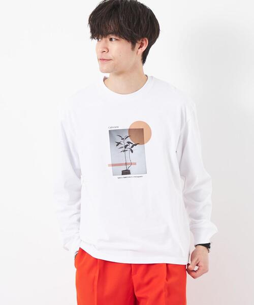 green label relaxing(グリーンレーベルリラクシング)の「<Phospho Graphica>グラフィック ロングスリーブ Tシャツ(Tシャツ/カットソー・メンズ・その他1/その他2/その他3・L/S/M)」の3枚目の写真