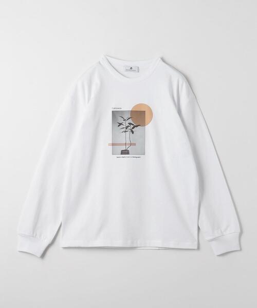 green label relaxing(グリーンレーベルリラクシング)の「<Phospho Graphica>グラフィック ロングスリーブ Tシャツ(Tシャツ/カットソー・メンズ・その他1/その他2/その他3・L/S/M)」の22枚目の写真