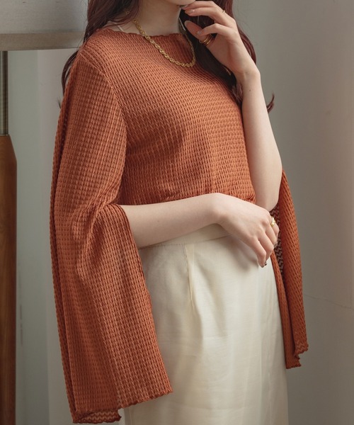 Ambre Ciel(アンブルシエル)の「アソート袖スリットレーストップス/【WEB/EC限定商品】(Tシャツ/カットソー・レディース・ダークブラウン/オレンジ/アイボリー・FREE)」の3枚目の写真