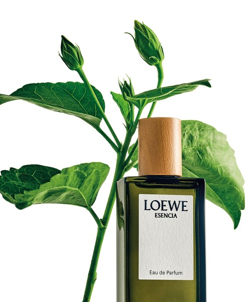 LOEWE Perfumes（ロエベ パルファム）の「オードゥ パルファン “ロエベ エセンシア”（100mL）（香水・レディース・その他・FREE）」の4枚目の写真