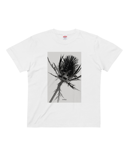 tシャツ urday / Eryngium / フォトTシャツ レディース メンズ urday【Eryngium】フォトTシャツ（4717123）ホワイト – mamian