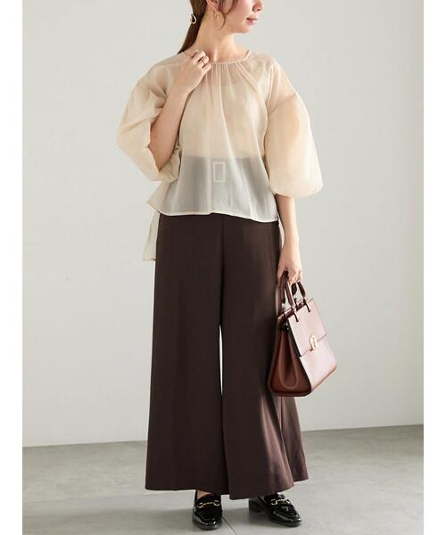 Te chichi(テチチ)の「シアーバルーンスリーブブラウス(シャツ/ブラウス・レディース・グレー/ブラウン/ベージュ・F)」の9枚目の写真