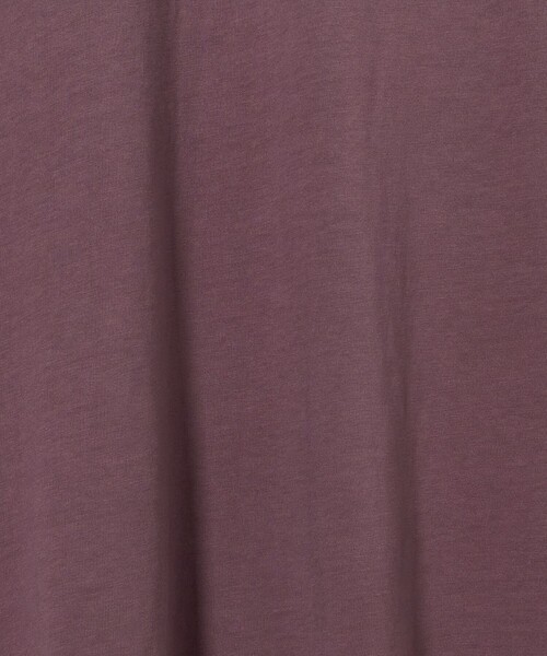 CITEN(シテン)の「<CITEN>グラデーションT(Tシャツ/カットソー・メンズ・ライラック/グレー系/ライム・L/S/M)」の19枚目の写真