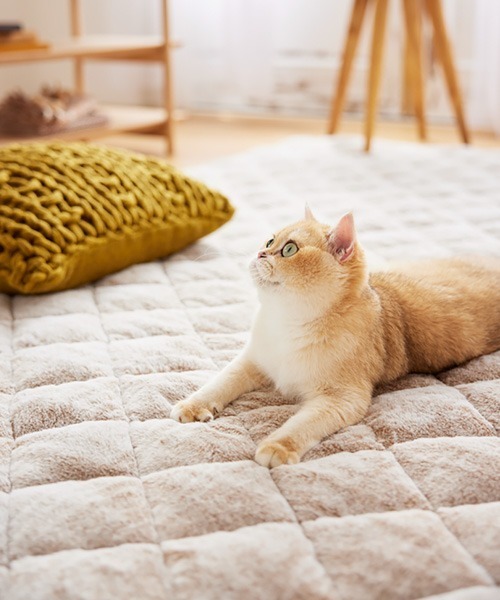 まるで猫！のような洗えるモフモフキルトラグ｜90×130cm【猫Feel