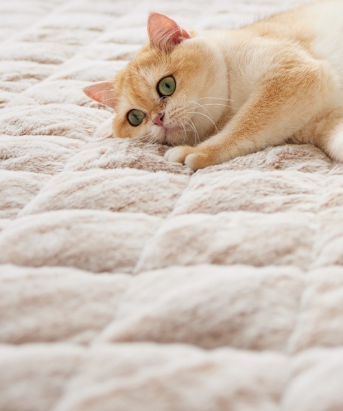 まるで猫！のような洗えるモフモフキルトラグ｜90×130cm【猫Feel
