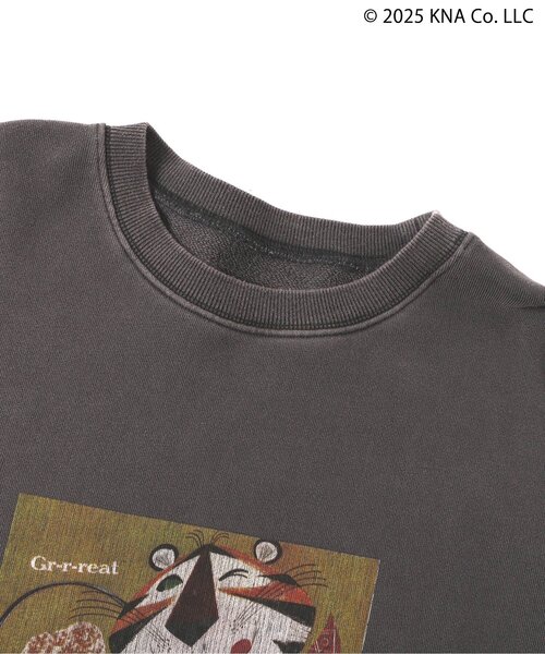 F.O.KIDS(エフオーキッズ)の「ケロッグ ガーメントダイトレーナー(オトナ)(スウェット・レディース・ターコイズブルー/レッド/キャメル/チャコール・LARGE/MEDIUM)」の16枚目の写真