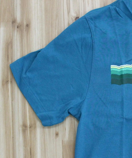 THE NORTH FACE(ザノースフェイス)の「エボリューション テキーラ サンライズ 半袖Tシャツ M EVOLUTION TEQUILA SUNRISE SHORT SLEEVE TEE- GRAPHIC(Tシャツ/カットソー・メンズ・グリーン系/ホワイト系/ブルー系・M/XL/L)」の20枚目の写真