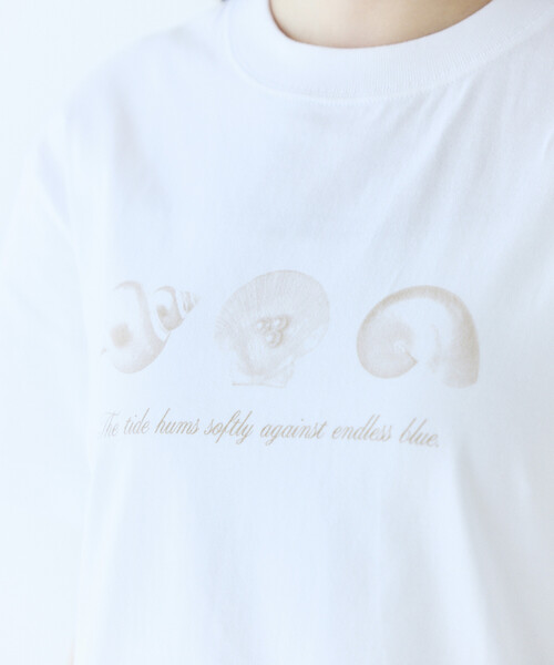 Firsthand（ファーストハンド）の「Firsthand/ファーストハンド コンフォータブル シェルプリント クルーネック Tシャツ（Tシャツ/カットソー・レディース・ベージュ/サックスブルー・FREE）」の21枚目の写真