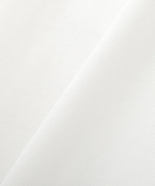 PROPORTION BODY DRESSING（プロポーションボディドレッシング）の「ショート丈ロゴＴシャツ（Tシャツ/カットソー・レディース・ホワイト系その他/ピンク・FREE）」の16枚目の写真