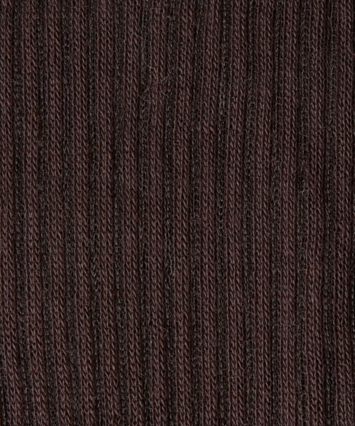 CITEN（シテン）の「＜CITEN＞ シアー リブソックス（ソックス/靴下・レディース・ライトブルー/ダークブラウン/ライトグレー・FREE）」の9枚目の写真