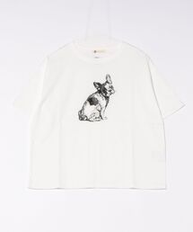 (BD)【BARNDOOR】アニマル プリント Tシャツ