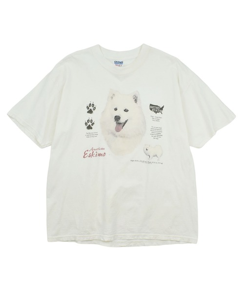 VINTAGE(ヴィンテージ)の「【USED】90’s GILDAN “American Eskimo” アニマル Tシャツ(Tシャツ/カットソー・メンズ・ホワイト・X-LARGE)」の1枚目の写真
