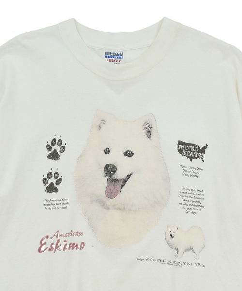 VINTAGE(ヴィンテージ)の「【USED】90’s GILDAN “American Eskimo” アニマル Tシャツ(Tシャツ/カットソー・メンズ・ホワイト・X-LARGE)」の2枚目の写真