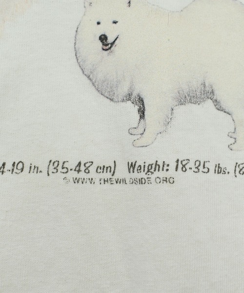 VINTAGE(ヴィンテージ)の「【USED】90’s GILDAN “American Eskimo” アニマル Tシャツ(Tシャツ/カットソー・メンズ・ホワイト・X-LARGE)」の4枚目の写真
