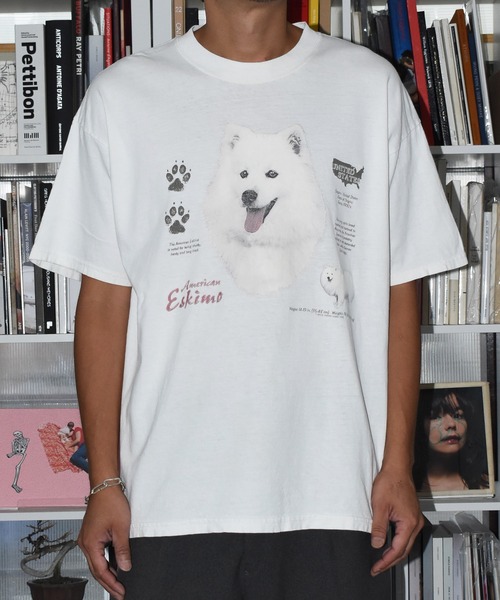 VINTAGE(ヴィンテージ)の「【USED】90’s GILDAN “American Eskimo” アニマル Tシャツ(Tシャツ/カットソー・メンズ・ホワイト・X-LARGE)」の12枚目の写真
