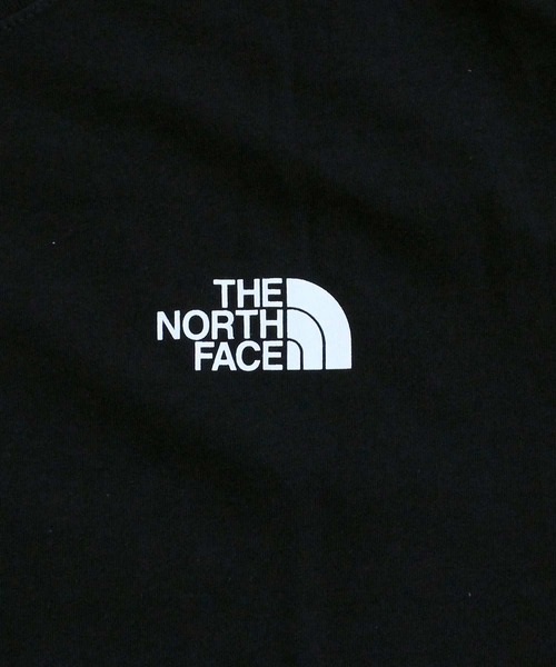 THE NORTH FACE(ザノースフェイス)の「エボリューション グラフィック バックプリント 半袖Tシャツ M EVOLUTION SHORT SLEEVE TEE- GRAPHIC(Tシャツ/カットソー・メンズ・ブラック/ホワイト系・XL/L/M)」の15枚目の写真