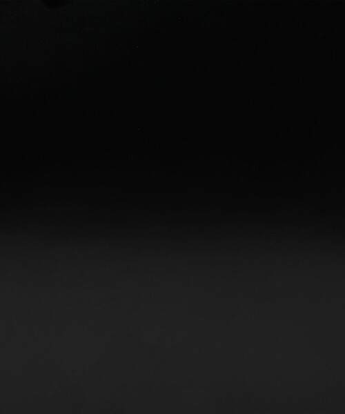 PIENI（ピエニ）の「PIENI WAIST BAG PVC×ピッグレザー ウエストバッグ（ボディバッグ/ウエストポーチ・メンズ・ブラック・FREE）」の9枚目の写真