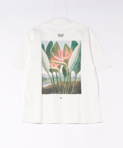 KINO THE KEI(キノザケイ)の「NYBG ストレリチア バックプリント TEE KINO THE KEI(Tシャツ/カットソー・レディース・ブラック/ライトベージュ/ホワイト・フリー)」の22枚目の写真