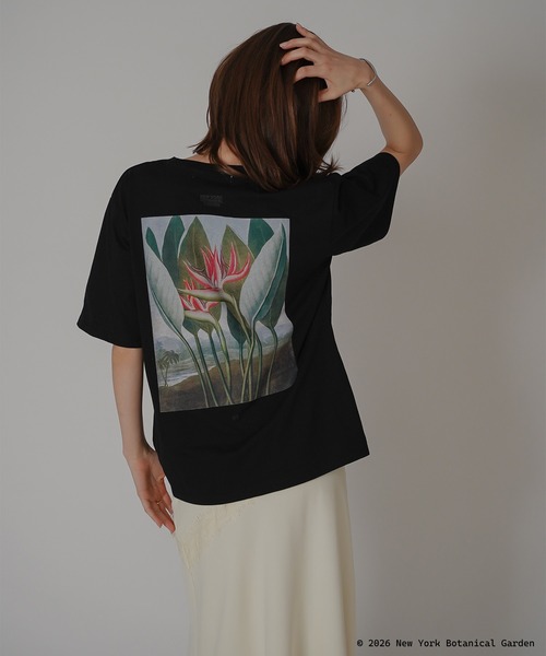 KINO THE KEI(キノザケイ)の「NYBG ストレリチア バックプリント TEE KINO THE KEI(Tシャツ/カットソー・レディース・ブラック/ライトベージュ/ホワイト・フリー)」の1枚目の写真
