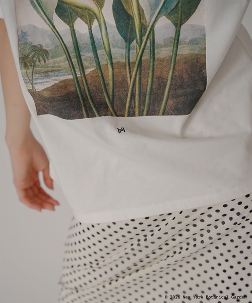 KINO THE KEI(キノザケイ)の「NYBG ストレリチア バックプリント TEE KINO THE KEI(Tシャツ/カットソー・レディース・ブラック/ライトベージュ/ホワイト・フリー)」の11枚目の写真
