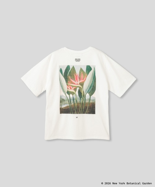KINO THE KEI(キノザケイ)の「NYBG ストレリチア バックプリント TEE KINO THE KEI(Tシャツ/カットソー・レディース・ブラック/ライトベージュ/ホワイト・フリー)」の14枚目の写真