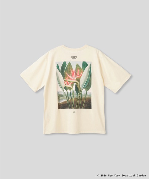 KINO THE KEI(キノザケイ)の「NYBG ストレリチア バックプリント TEE KINO THE KEI(Tシャツ/カットソー・レディース・ブラック/ライトベージュ/ホワイト・フリー)」の15枚目の写真