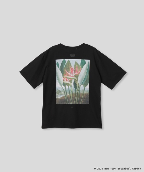 KINO THE KEI(キノザケイ)の「NYBG ストレリチア バックプリント TEE KINO THE KEI(Tシャツ/カットソー・レディース・ブラック/ライトベージュ/ホワイト・フリー)」の16枚目の写真