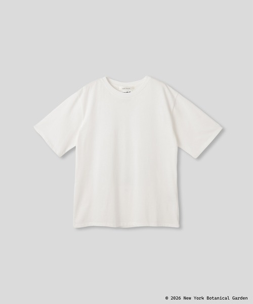 KINO THE KEI(キノザケイ)の「NYBG ストレリチア バックプリント TEE KINO THE KEI(Tシャツ/カットソー・レディース・ブラック/ライトベージュ/ホワイト・フリー)」の17枚目の写真