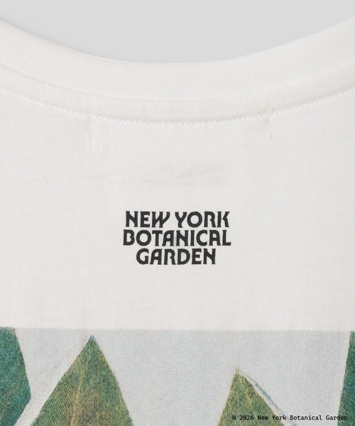 KINO THE KEI(キノザケイ)の「NYBG ストレリチア バックプリント TEE KINO THE KEI(Tシャツ/カットソー・レディース・ブラック/ライトベージュ/ホワイト・フリー)」の19枚目の写真