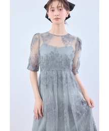 WAVE SWITCH SHEER DRESS（ドレス）｜Ameri（アメリ）のファッション