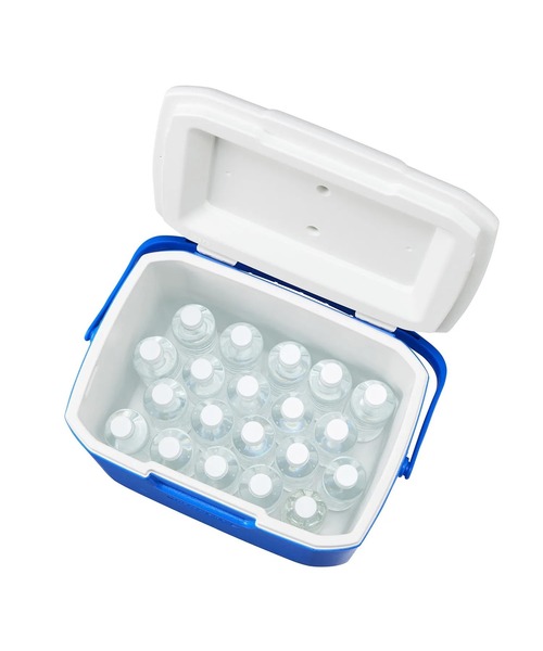 Coleman - かり7090様限定 エクスカーション(R)クーラー/30QT（アウトドアグッズ