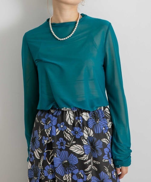 WANDERUNG（ワンデルング）の「WANDERUNG　Sheer Tops（Tシャツ/カットソー・レディース・ブラック/ピンク/アイボリー/ブルー系その他/パープル系その他・FREE）」の15枚目の写真