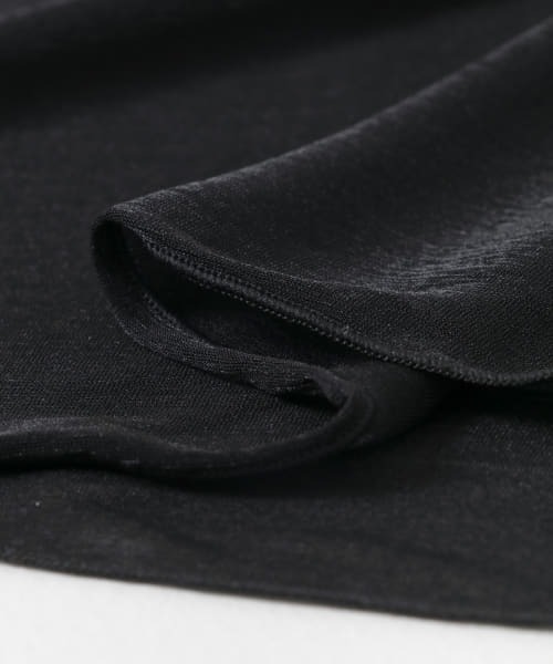 WANDERUNG（ワンデルング）の「WANDERUNG　Sheer Tops（Tシャツ/カットソー・レディース・ブラック/ピンク/アイボリー/ブルー系その他/パープル系その他・FREE）」の17枚目の写真