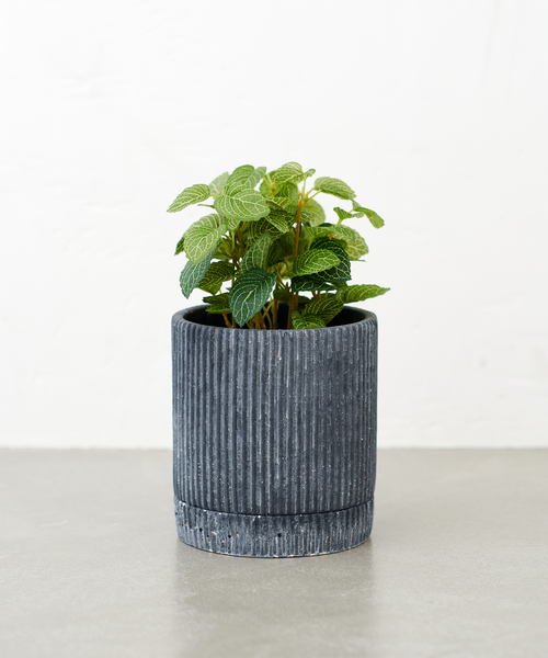 journal standard Furniture （ジャーナルスタンダードファニチャー