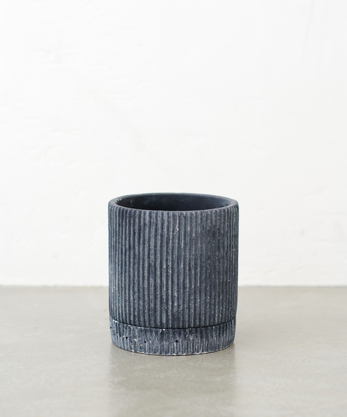 journal standard × botanize 鉢 journal standard × botanize 鉢