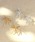 Three Four TimeiX[tH[^Cj́uyLIMITED NUMBER/~ebhio[zuCgX^[`^|XgsAXisAXipjjvbVo[