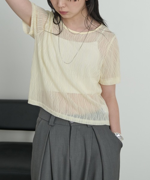 Aunt Marie's（アントマリーズ）の「ニュアンスウェーブシアーハーフスリーブトップス（Tシャツ/カットソー・レディース・ブラック/ライトブルー/ライトイエロー/ホワイト/ピンク・FREE）」の4枚目の写真
