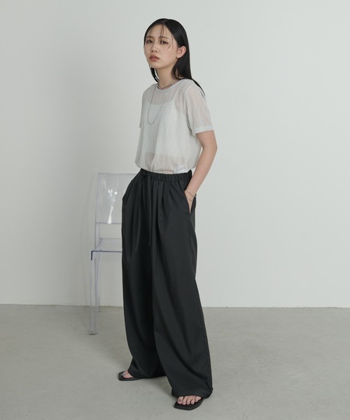 Aunt Marie's（アントマリーズ）の「ニュアンスウェーブシアーハーフスリーブトップス（Tシャツ/カットソー・レディース・ブラック/ライトブルー/ライトイエロー/ホワイト/ピンク・FREE）」の6枚目の写真