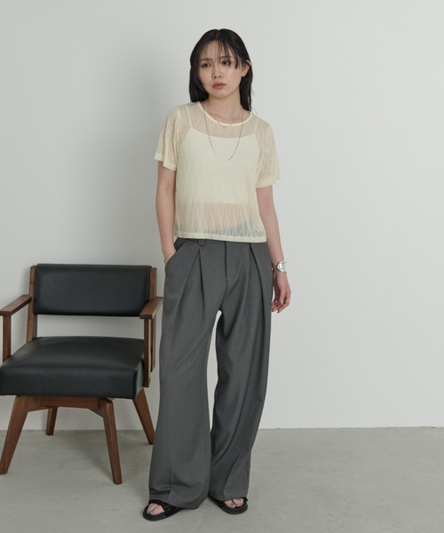 Aunt Marie's（アントマリーズ）の「ニュアンスウェーブシアーハーフスリーブトップス（Tシャツ/カットソー・レディース・ブラック/ライトブルー/ライトイエロー/ホワイト/ピンク・FREE）」の15枚目の写真