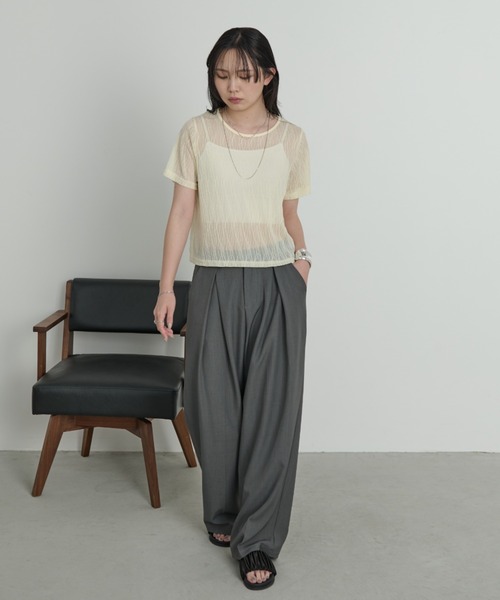 Aunt Marie's（アントマリーズ）の「ニュアンスウェーブシアーハーフスリーブトップス（Tシャツ/カットソー・レディース・ブラック/ライトブルー/ライトイエロー/ホワイト/ピンク・FREE）」の16枚目の写真