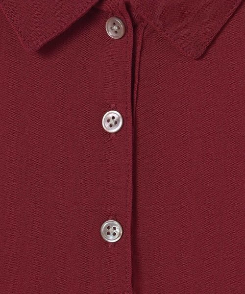 JEANASIS（ジーナシス）の「チュールシアーポロLS/600232（ポロシャツ・レディース・ブラック/ブルー系その他/ボルドー・FREE）」の11枚目の写真