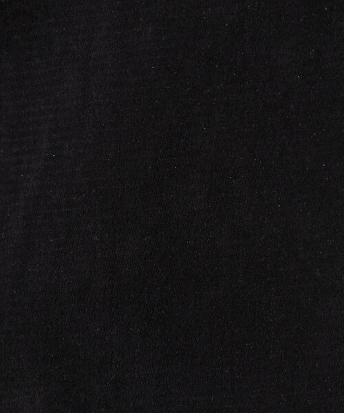 green label relaxing(グリーンレーベルリラクシング)の「シアー フロッキー ラメ ロングスリーブ プルオーバー(Tシャツ/カットソー・レディース・その他1・FREE)」の15枚目の写真
