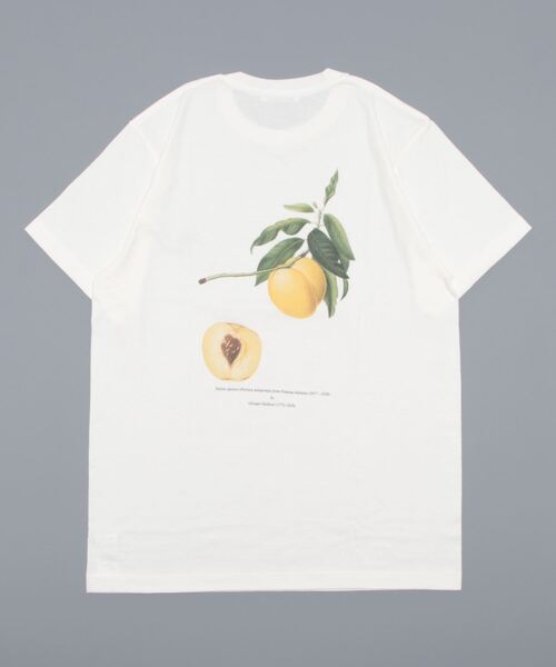 Bshop（ビショップ）の「History of Art | プリントTシャツ APRICOT MEN（Tシャツ/カットソー・メンズ・D・LARGE/XX-LARGE/X-LARGE）」の2枚目の写真
