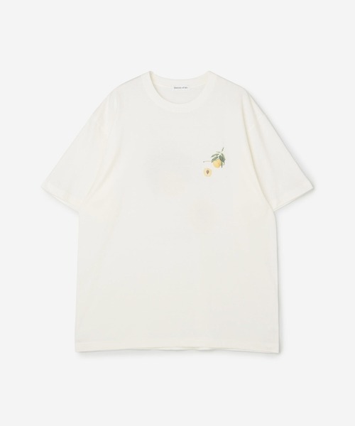 Bshop（ビショップ）の「History of Art | プリントTシャツ APRICOT MEN（Tシャツ/カットソー・メンズ・D・LARGE/XX-LARGE/X-LARGE）」の7枚目の写真